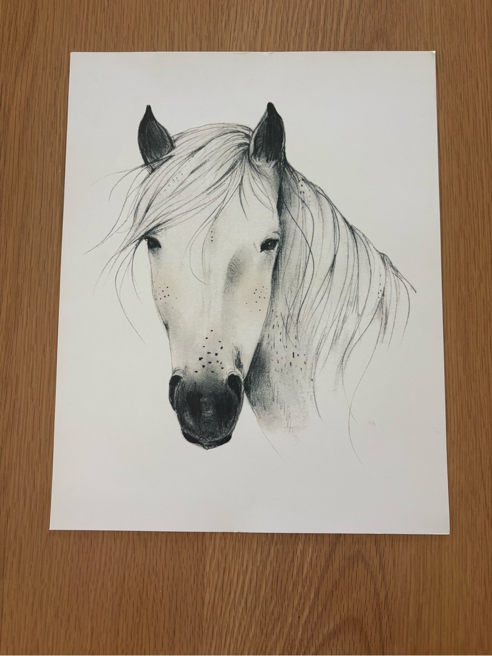 Rylee + Cru White and Black Horse Portrait Print
